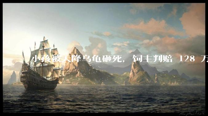 小孩被天降乌龟砸死，饲主判赔 128 万，如何从法律角度进行解读？