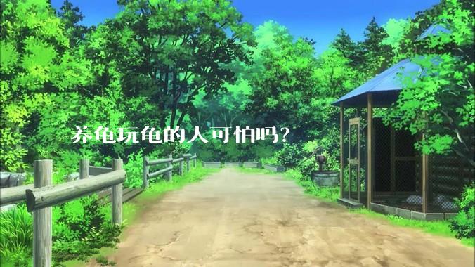 养龟玩龟的人可怕吗？