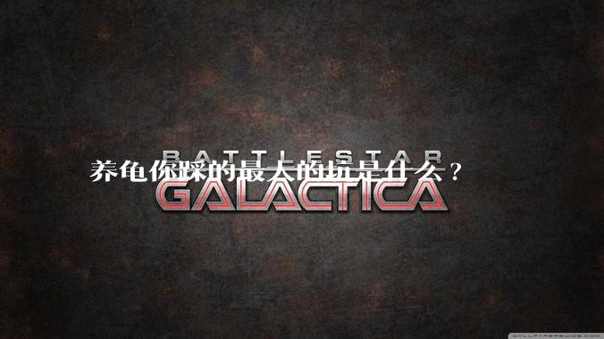 养龟你踩的最大的坑是什么?