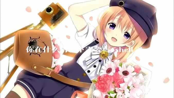 你在什么情况下需要写 shell ？