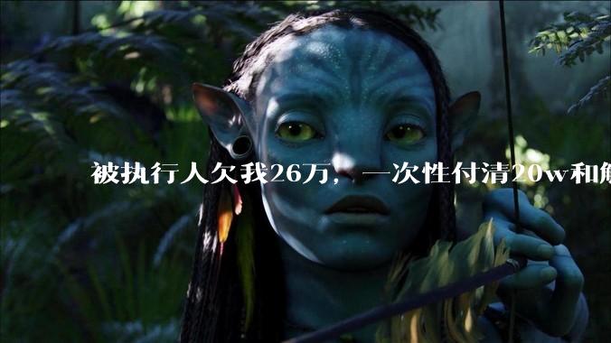 被执行人欠我26万，一次性付清20w和解，我该同意吗?