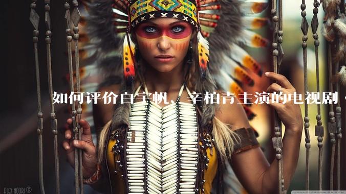 如何评价白宇帆、辛柏青主演的电视剧《护宝寻踪》？