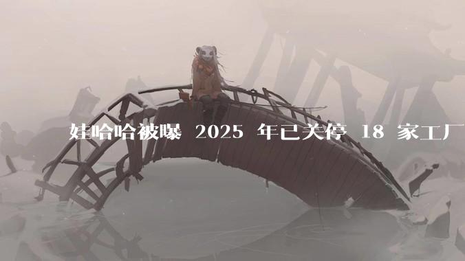 娃哈哈被曝 2025 年已关停 18 家工厂，此前曾回应纯净水由今麦郎代工，娃哈哈到底在布局什么？